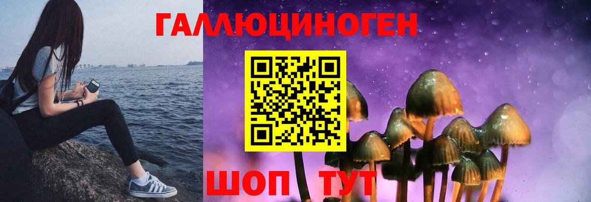 закладки  Галлюциногенные грибы MAGIC MUSHROOMS  Вход с VPN  Владимир  Галлюциногенные грибы Cubensis 